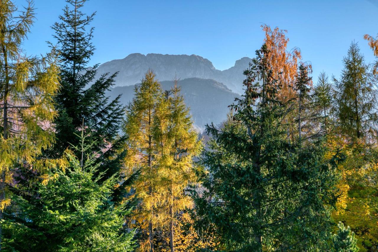 Apartament Biała Róża Zakopane Exterior foto